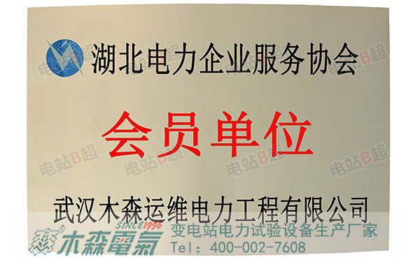 木森電氣入駐湖北電力企業(yè)服務(wù)協(xié)會(huì)會(huì)員單位